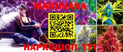 индика Пыть-Ях