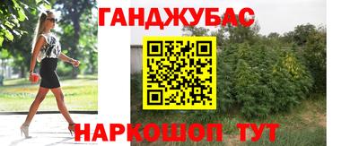 индика Пыть-Ях