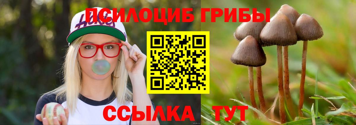 Псилоцибиновые грибы мицелий Можга