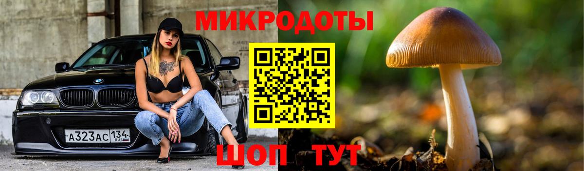 Можга  Псилоцибиновые грибы Psilocybine cubensis  Вход с VPN  Галлюциногенные грибы Psilocybe 
